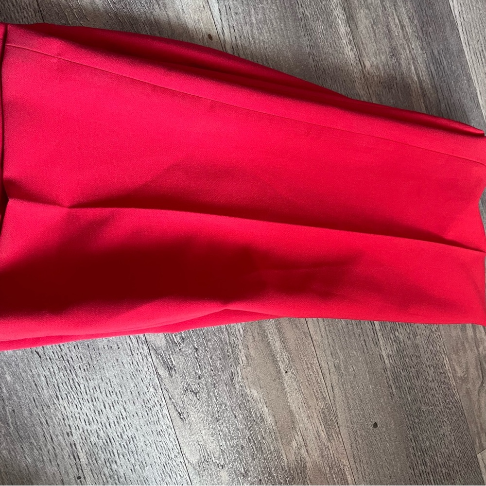 Zara Red Women's Pants